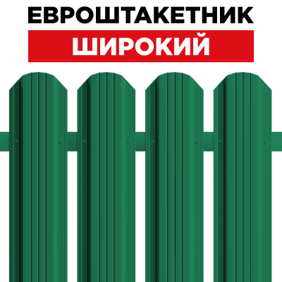 Штакетник Широкий