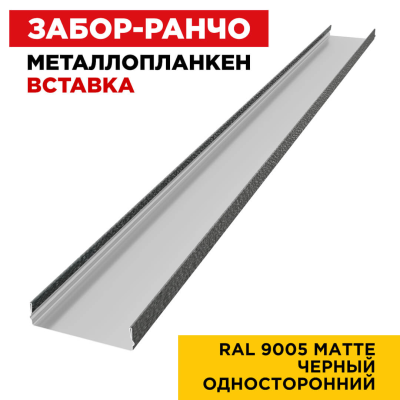 Металлопланкен ВСТАВКА 80*20мм RAL9005 МАТТЕ Черный